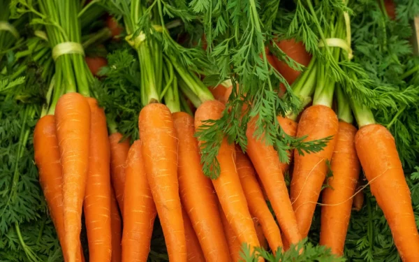 Sweet Organic Carrots