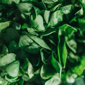 Fresh Baby Spinach