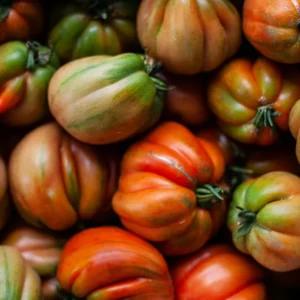 Organic Roma Tomatoes
