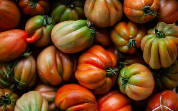 Organic Roma Tomatoes